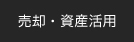 ���p�E���Y���p