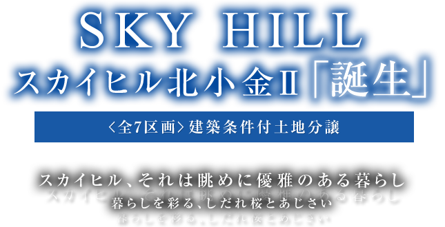 SKY HILL XJCqkTuavztyn