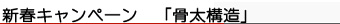 �G�h�P���n�E�X�̑��z�����d